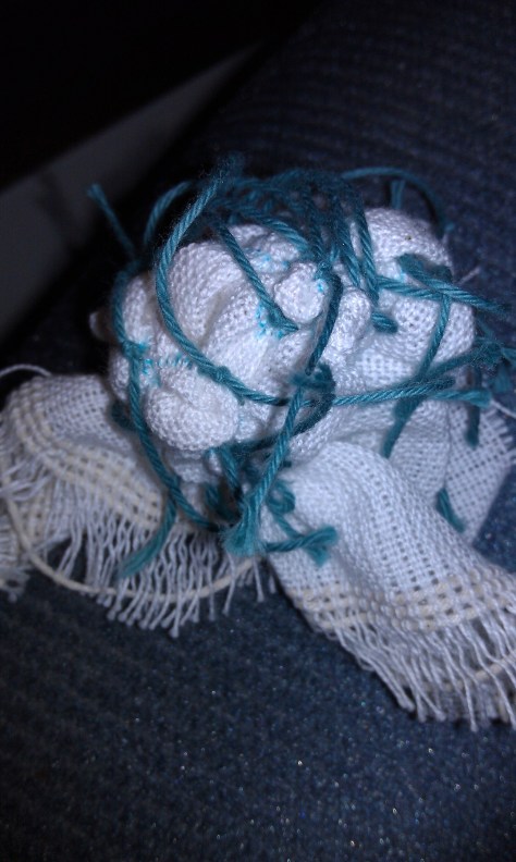 Experiment is gathered and tied.