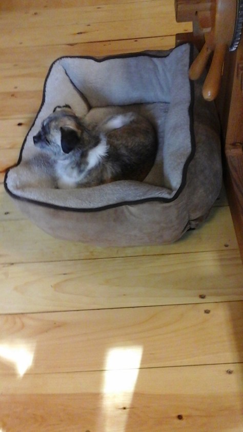 Keda by Loom, 05-27-2015 - Copy