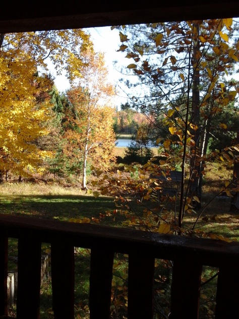 My view of the lake and autumn trees.