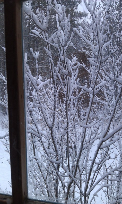 Snow overnight, Dec. 12-13, 2015.