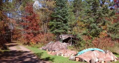 Wood was cut and waiting for the log splitter to work properly.