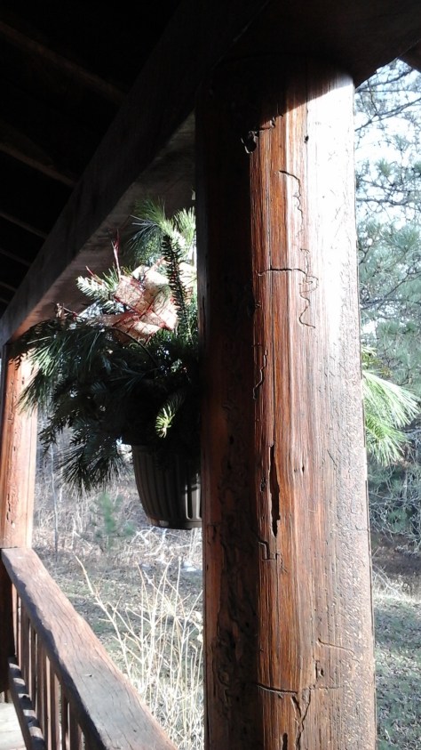Pine bough hanging pot.